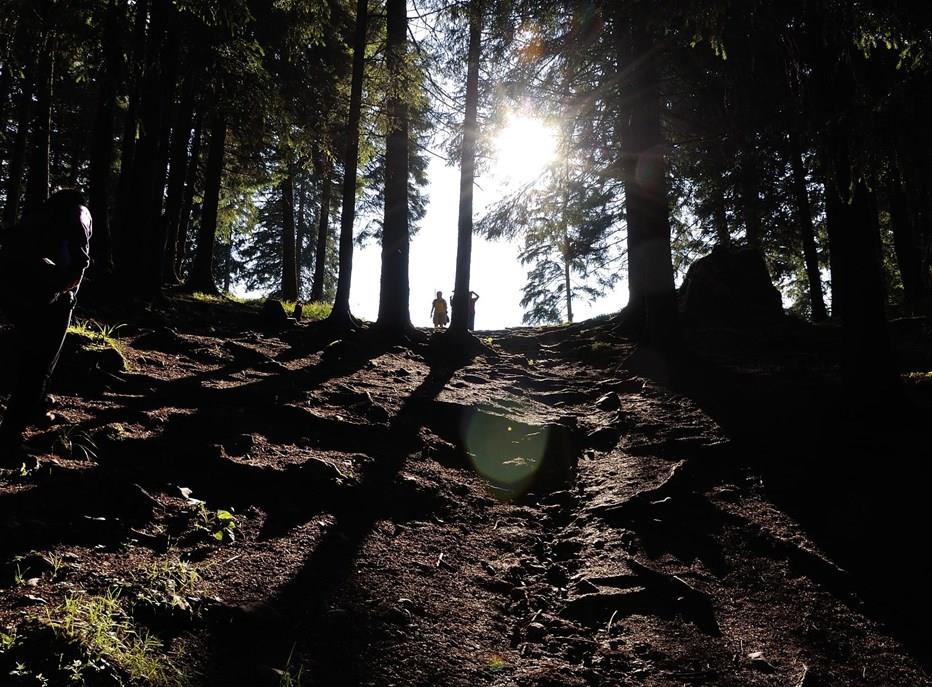 Locuri - Piatra Soimului http://www.lifephoto.ro/articole/ponturi/descopera-piatra-soimului-14